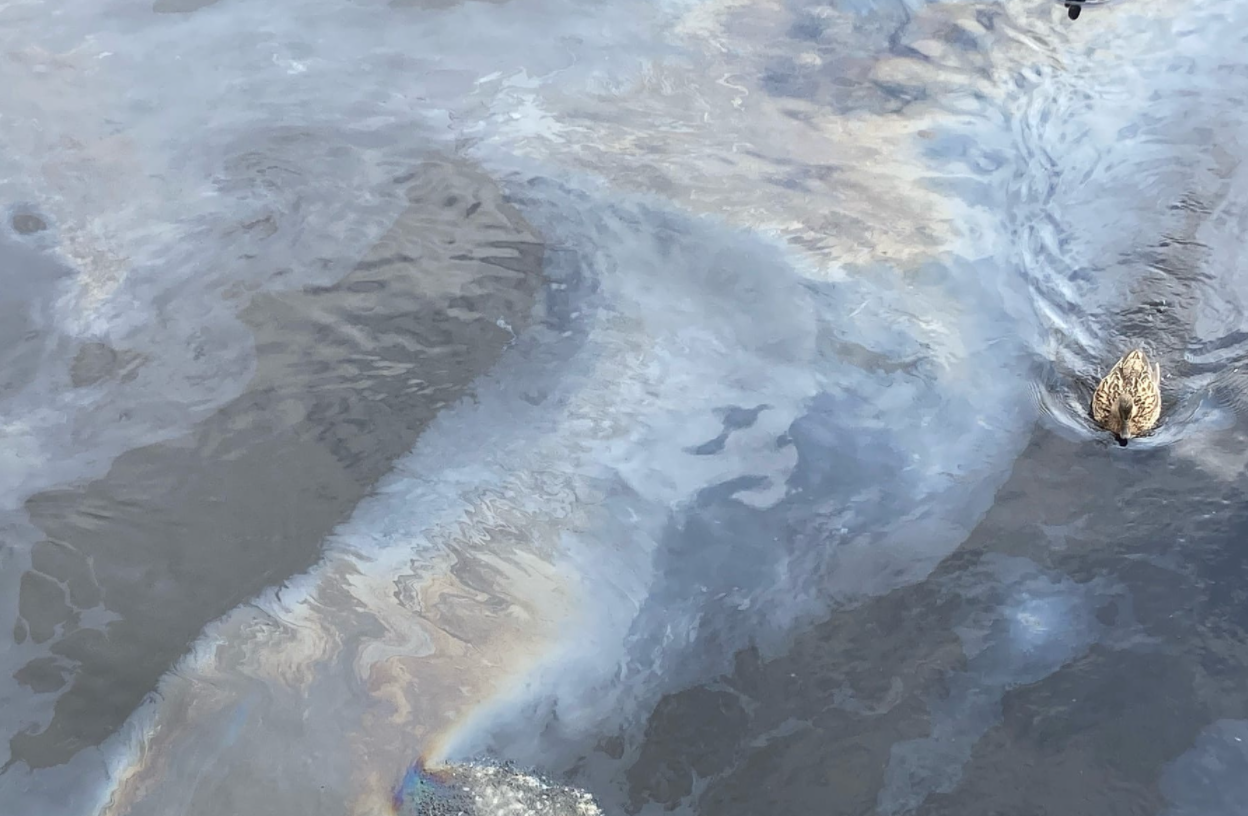 紅外分光光度法檢測工業廢水中石油含量的步驟 紅外分光光度法檢測工業廢水中石油含量的步驟